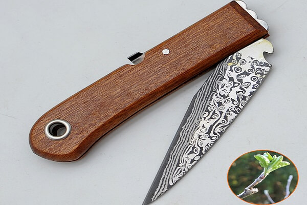 Dao ghép cây thép hoa cán gấp